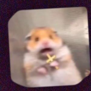 Meet your Posher, Destiny